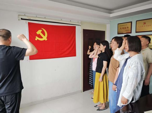 严守八项规定 喜迎“七一”华诞——集团公司咨询党支部组织开展迎“七一”主题党日活动